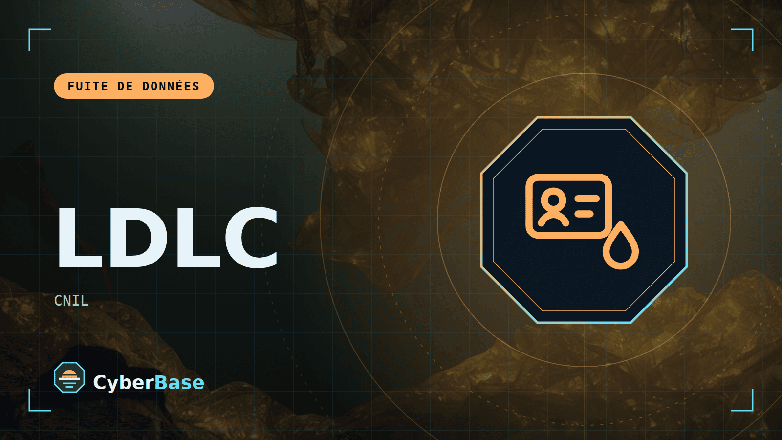 Illustration de « LDLC : des données clients consultées » : le pictogramme de la rubrique Actualité et le nom du sujet sur une image de fond assombrie
